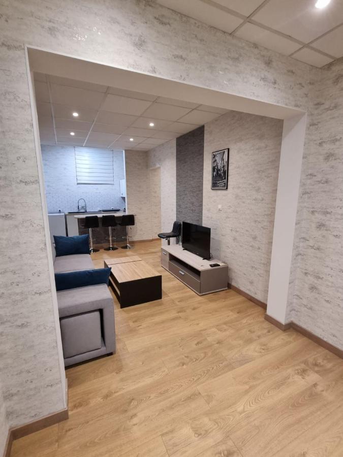Appartement Centre Ville Chalon-sur-Saône Kültér fotó